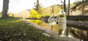 vin blanc dégustation de vins en Ardèche